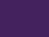 Robison-Anton Rayon - 2431 Purple Accent